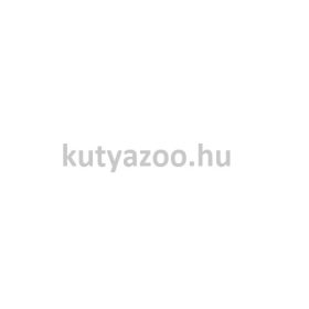 KONG Holiday Goodie Bone Gumi Csont  Kutyajáték M