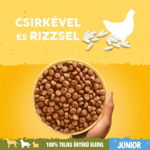 Pedigree-Szaraz-Junior-Medium-Baromfi-500g