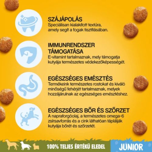 Pedigree-Szaraz-Junior-Medium-Baromfi-500g