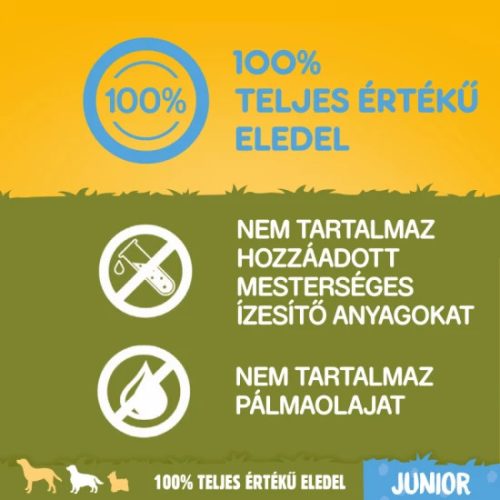 Pedigree-Szaraz-Junior-Medium-Baromfi-500g