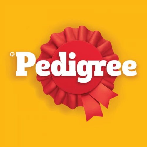 Pedigree-Szaraz-Junior-Medium-Baromfi-500g
