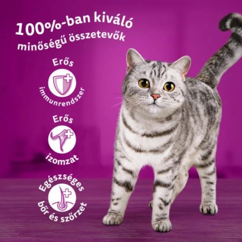 Whiskas Alutasakos 12 pack Szárnyas 12x85g