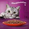 Whiskas-Alutasakos-100G-12-Pack-Ragu-10-2-Eledel-Macskanak