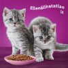 Whiskas-Alutasakos-100G-4-Pack-Junior-Bonus-Eledel-Macskanak
