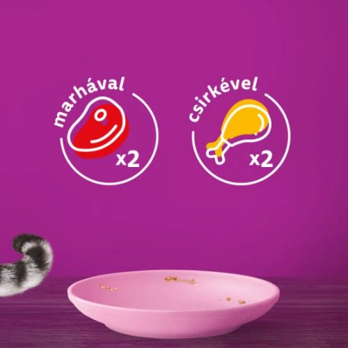 Whiskas-Alutasakos-100G-4-Pack-Junior-Bonus-Eledel-Macskanak