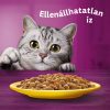 Whiskas-Alutasakos-100G-4-Pack-Szarnyas-Bonus-Eledel-Macskanak