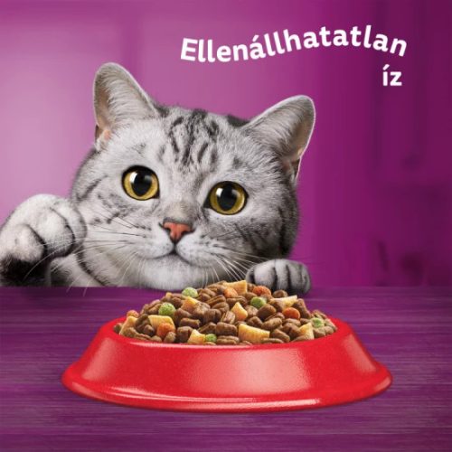 Whiskas Száraz Marha Májas Falat 14kg