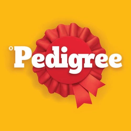 Pedigree Tasty Bites 140gr Cheesy Bites