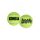 KONG SqueakAir Balls Teniszladba Kutyajáték 2 db L
