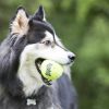 KONG SqueakAir Balls Teniszladba Kutyajáték 2 db L
