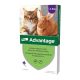 Advantage rácsepegteto oldat nagytestu macskáknak és nyulaknak AUV 4 x 0,8 ml