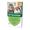 Advantage rácsepegteto oldat kistestu macskáknak és nyulaknak AUV 1 x 0,4 ml