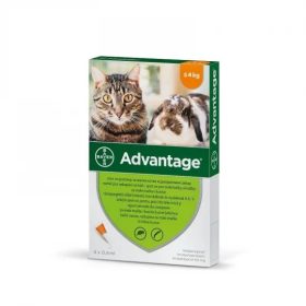   Advantage rácsepegteto oldat kistestu macskáknak és nyulaknak AUV 4 x 0,4 ml