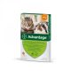 Advantage rácsepegteto oldat kistestu macskáknak és nyulaknak AUV 4 x 0,4 ml