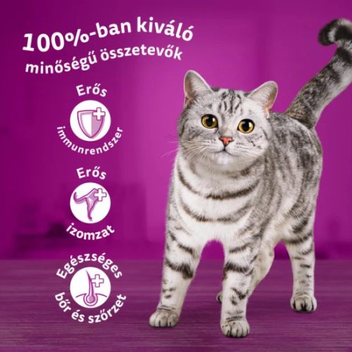 Whiskas Alutasakos Szárnyas Válogatás Mártásban 12x85g Multipack