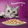 Whiskas alutasak Tasty Mix Krémes kreációk  12x85g Multipack