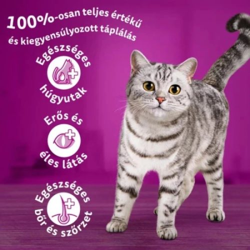 Whiskas alutasak Tasty Mix Krémes kreációk  12x85g Multipack