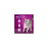 WHISKAS alutasak 80-pack klasszikus válogatás mártásban 80*85g