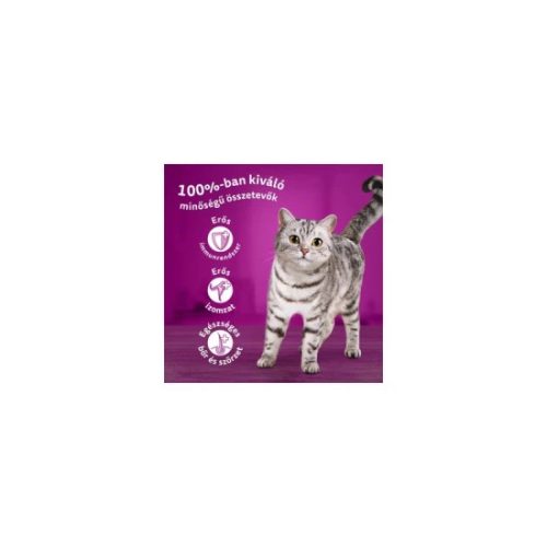 WHISKAS alutasak 80-pack klasszikus válogatás mártásban 80*85g