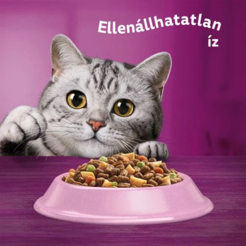 Whiskas Száraz Lazac 1,4kg