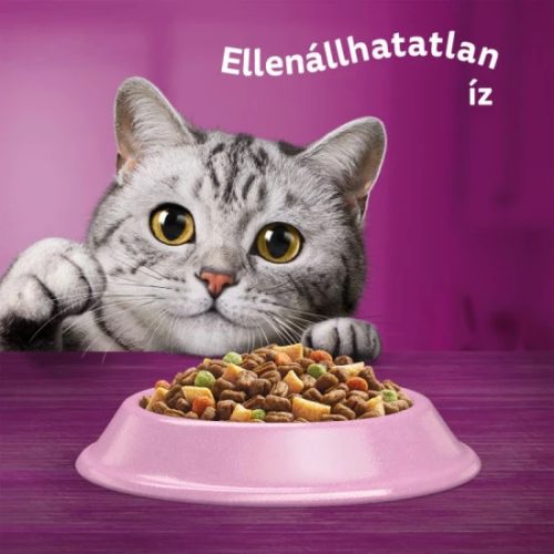 Whiskas Száraz Steril Lazac 1,4kg