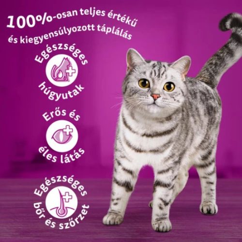 Whiskas Száraz Steril Lazac 1,4kg