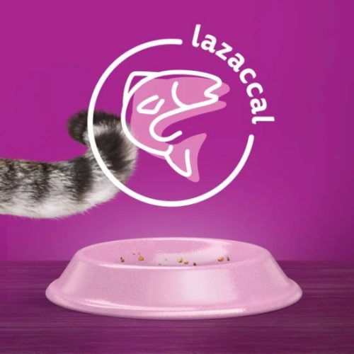 Whiskas Száraz Steril Lazac 1,4kg