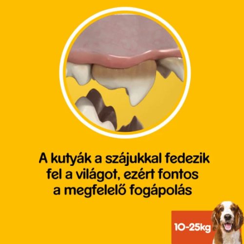 Pedigree-Denta-Stix-3db-Med-Large-77G-Jutalomfalat-Kutyanak-