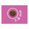 Dog Vital Hipoallergén Adult Mini Lamb,apple&blueberry 12+2kg grátisz