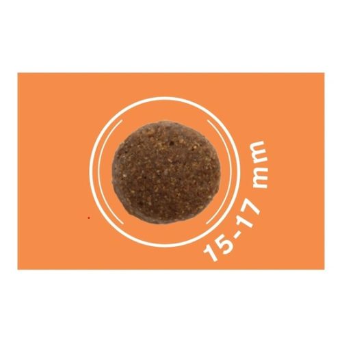 Dog Vital Hipoallergén Adult Medium&Maxi Lamb,spinach&pumpkin 12+2kg grátisz
