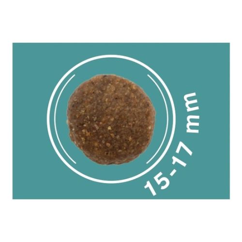 Dog Vital Hipoallergén Adult Medium&Maxi Salmon,carrot&spinach 12+2kg grátisz