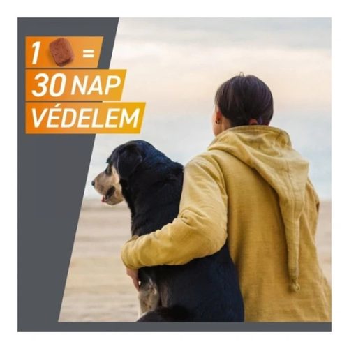 Frontpro 68 mg rágótabletta 10-25 kg 3X