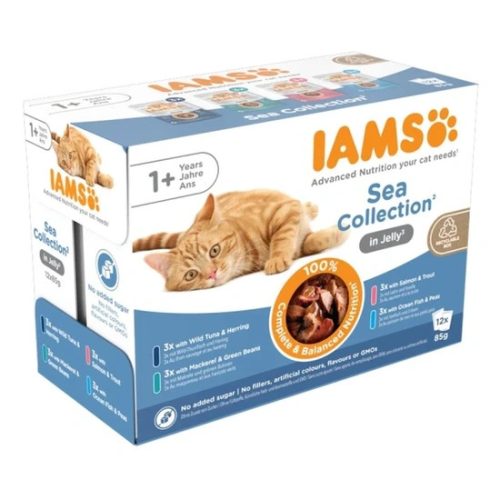 Iams Cat Delights SEA IN JELLY multipack, többféle halas íz, zamatos aszpikban 12x85g