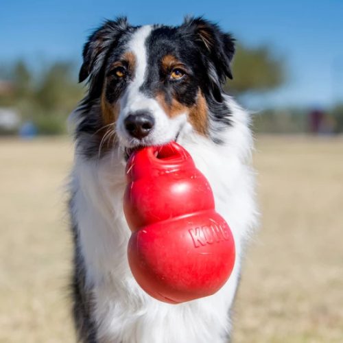 Játék Kong Bounzer L