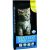Matisse-Kitten-10kg