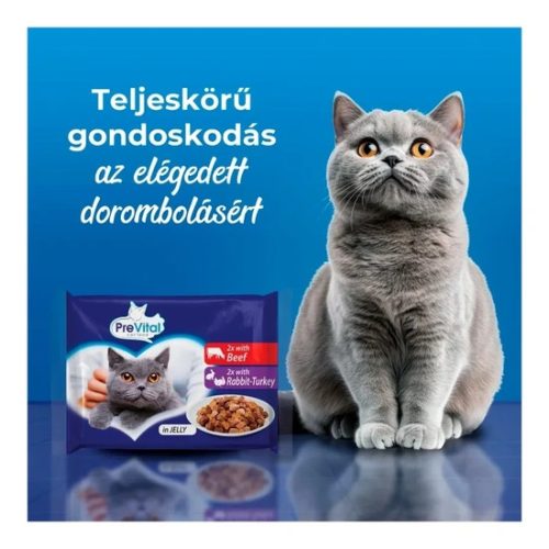 Prevital-Alutasak-Zseles-4X100gr-Vegyes-iz-Eledel-Macskanak
