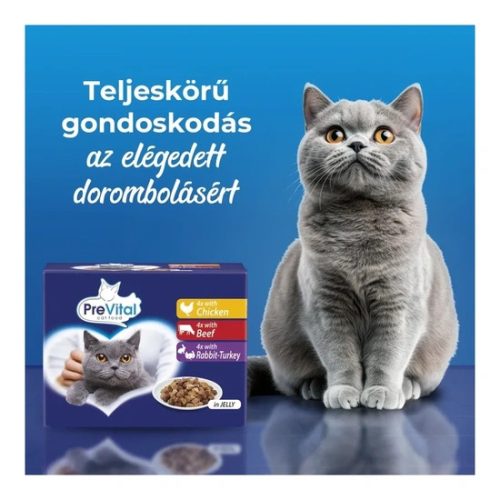 Prevital-Alutasak-Zseles-12X100gr-Vegyes-iz-Eledel-Macskanak