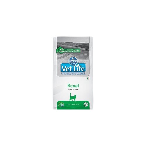 Vet Life Cat Renal 400g