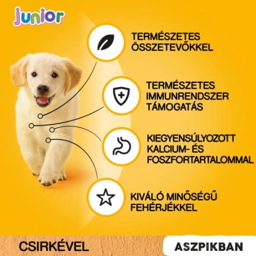 Pedigree-Alutasakos-Junior-Csirke-100g