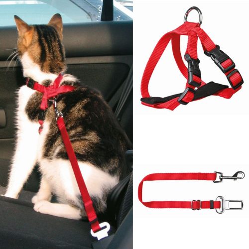 Biztonsagi-ov-Macskanak-20-50cm-TRX1294