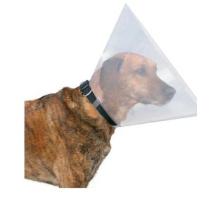 Vedogaller-S-28-33cm-12cm-TRX19482