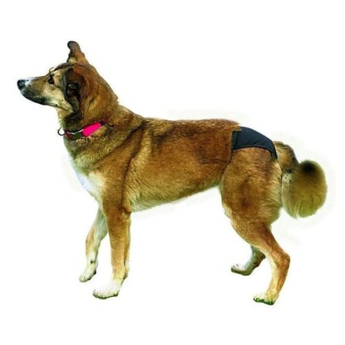Tuzelobugyi-XS-Fekete-20-25cm-TRX23490