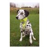 Biztonsagi-Kendo-Kutyanak-Xs-S-22-28cm-TRX30121