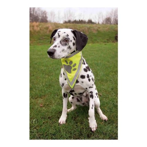 Biztonsagi-Kendo-Kutyanak-Xs-S-22-28cm-TRX30121