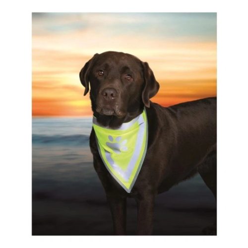 Biztonsagi-Kendo-Kutyanak-L-Xl-43-60cm-TRX30123