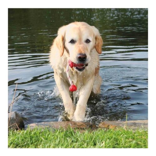 Jatek-Tomor-Gumi-Harang-Kotellel-9cm