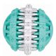 Dentafun-Labda-Mentas-6cm-Jatek-Kutyanak-TRX32941