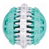 Dentafun-Labda-Mentas-7cm-Jatek-Kutyanak-TRX32942