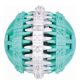 Dentafun-Labda-Mentas-7cm-Jatek-Kutyanak-TRX32942
