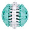 Dentafun-Labda-Mentas-7cm-Jatek-Kutyanak-TRX32942